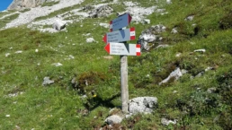 IMG-20200801-WA0003