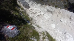 IMG-20220804-WA0008