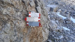 IMG-20230610-WA0008