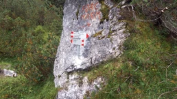IMG-20210828-WA0003