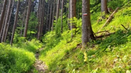 IMG-20240717-WA0016