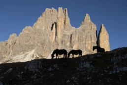 escursioni cai auronzo